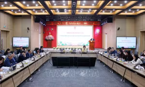 Tham vấn về hồ sơ chính sách dự thảo Luật Hòa giải ở cơ sở (sửa đổi)