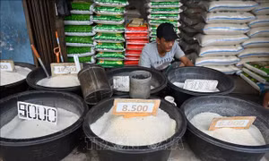 Chỉ số giá lương thực thế giới tăng trở lại