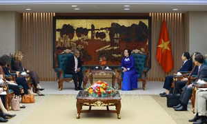 Việt Nam cam kết là thành viên tích cực trong các hoạt động toàn cầu về trẻ em
