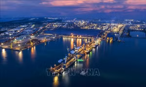 Điểm tin kinh tế Việt Nam nổi bật ngày 14/8/2026