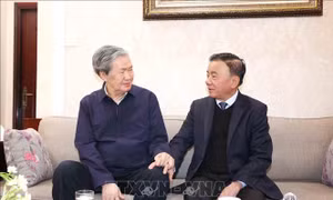 Thường trực Ban Bí thư Trần Cẩm Tú thăm, chúc Tết các đồng chí nguyên lãnh đạo Đảng, Nhà nước
