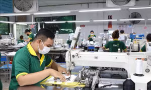 Bộ Nội vụ hoàn thiện dữ liệu lao động nước ngoài, thúc đẩy giải quyết thủ tục hành chính trực tuyến