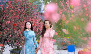 Thời tiết dịp Tết: Hà Nội sẽ có mưa xuân trong ngày đầu tiên của năm mới