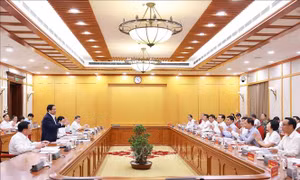 Thủ tướng chủ trì làm việc với Ban Thường vụ các Tỉnh ủy An Giang và Lâm Đồng