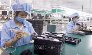 Trụ cột của quan hệ Đối tác Chiến lược Toàn diện Việt Nam - EU