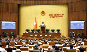 Từ 1/7/2026, siết quản lý livestream bán hàng và định danh người bán trên nền tảng số