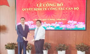 Ủy viên Bộ Chính trị Nguyễn Xuân Thắng trao quyết định về công tác cán bộ