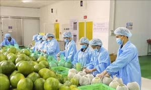 Tăng tốc từ đầu năm, nông nghiệp và môi trường giữ đà tăng trưởng