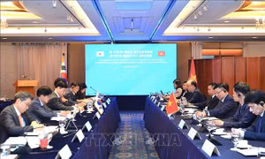 Việt Nam - Hàn Quốc thúc đẩy hợp tác trong các lĩnh vực kinh tế trọng điểm