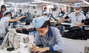 Hiệp định EVFTA và câu chuyện thực thi