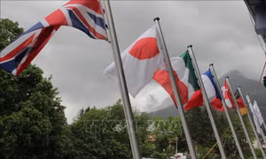 G7 tìm giải pháp ổn định giá dầu và ngăn chặn sử dụng AI tấn công mạng