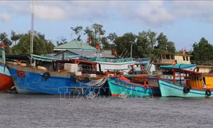 Chủ động ứng phó bão số 10, đảm bảo an toàn cho tàu thuyền hoạt động trên biển