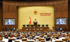 Bổ nhiệm cán bộ lãnh đạo, quản lý đủ tâm, đủ tầm