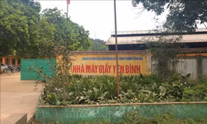 Tai nạn lao động tại nhà máy giấy khiến một người tử vong