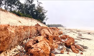 Phát triển bền vững tài nguyên vùng bờ