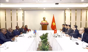 Chủ tịch Quốc hội tiếp Chủ tịch Quốc hội Cộng hòa Dân chủ Congo