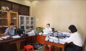 Hiệu quả bước đầu từ việc tăng cường cán bộ chuyên ngành về cơ sở ở Quảng Trị