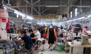Chỉ thị của Thủ tướng Chính phủ về thúc đẩy phát triển doanh nghiệp nhỏ và vừa