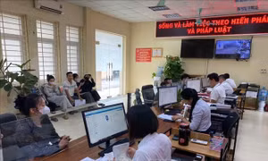 Chính sách, chế độ đối với đối tượng chịu sự tác động do sắp xếp tổ chức bộ máy