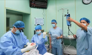 Bé gái được ghép tim, hồi sinh ngoạn mục trong những ngày đầu Xuân