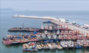 Trung Quốc căng mình phòng chống bão Bavi