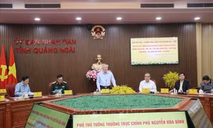 Không vì tiến độ mà bỏ qua quy trình thi công cao tốc Bắc - Nam