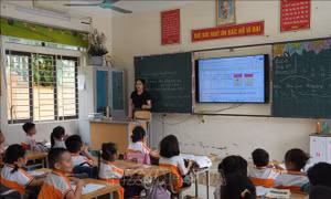 Sắp xếp mạng lưới trường học: Tinh gọn đầu mối, nâng cao năng lực quản trị
