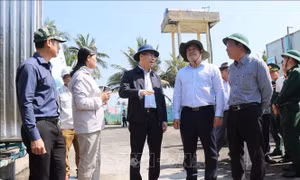 Phát triển Lý Sơn trở thành trung tâm du lịch biển đảo