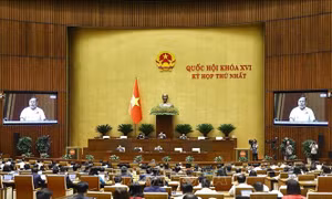 Dấu ấn Kỳ họp thứ Nhất, Quốc hội khóa XVI: Khởi đầu vững chắc, hành động ngay