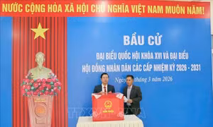 Bầu cử sớm tại đảo tiền tiêu Bạch Long Vĩ