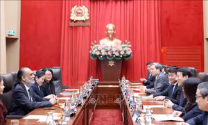 Thúc đẩy hợp tác an ninh mạng, chuyển đổi số với Liên hợp quốc