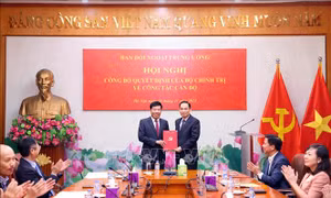 Ông Nguyễn Mạnh Cường giữ chức Phó trưởng Ban Đối ngoại Trung ương