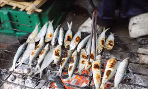 Về miền biển thưởng thức cá trích đầu mùa nướng than hoa