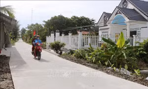 Đổi thay vùng cù lao hạ nguồn sông Hậu