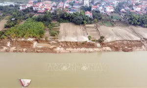 Người dân bất an khi bờ sông Lô sạt lở nghiêm trọng