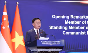 Thường trực Ban Bí thư Trần Cẩm Tú đồng chủ trì Đối thoại Chiến lược Việt Nam - Singapore lần thứ nhất
