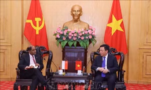 Mở rộng chương trình hợp tác đào tạo, bồi dưỡng cán bộ lãnh đạo quản lý Việt Nam - Singapore