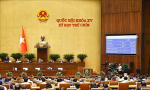Kỳ họp thứ 9, Quốc hội khóa XV: Quốc hội thông qua Luật sửa đổi, bổ sung một số điều của Luật Doanh nghiệp
