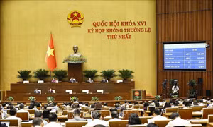 Quốc hội thông qua Luật sửa đổi 10 luật trong lĩnh vực nông nghiệp và môi trường