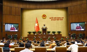 Tuần làm việc thứ 4, Kỳ họp thứ 8, Quốc hội khóa XV: Trọng tâm là hoạt động chất vấn và trả lời chất vấn