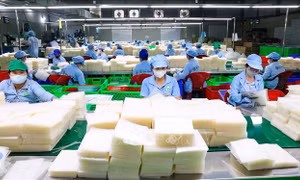 OCOP nâng tầm đặc sản Tây Ninh trong mùa Tết