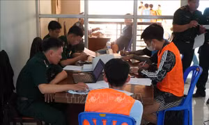 Cảnh giác với bẫy 'việc nhẹ, lương cao'