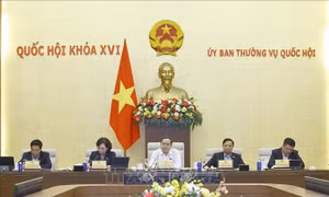 Ủy ban Thường vụ Quốc hội cho ý kiến về thuế bảo vệ môi trường, thuế giá trị gia tăng đối với xăng, dầu
