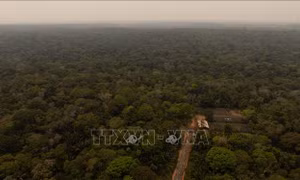 Cuộc đua ‘Sơn Tinh - Thủy Tinh’ thầm lặng nhằm hấp thụ carbon Trái Đất