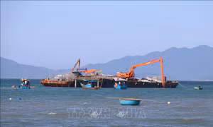 Phục hồi bền vững bờ biển Hội An Tây