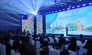  Doanh nghiệp cần tận dụng xu thế thị trường xanh