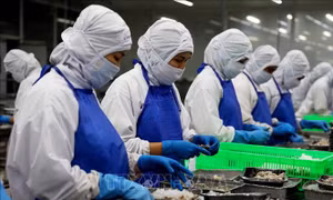 Ngân hàng bơm vốn, doanh nghiệp ngóng đơn hàng