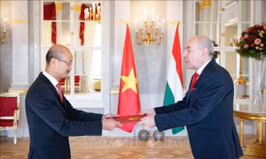 Tổng thống Hungary đánh giá cao mối quan hệ hữu nghị truyền thống với Việt Nam
