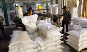Quý I, xuất khẩu nông, lâm, thủy sản tăng gần 6%