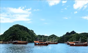 Phối hợp quản lý, bảo vệ, phát huy giá trị di sản vịnh Hạ Long - quần đảo Cát Bà
